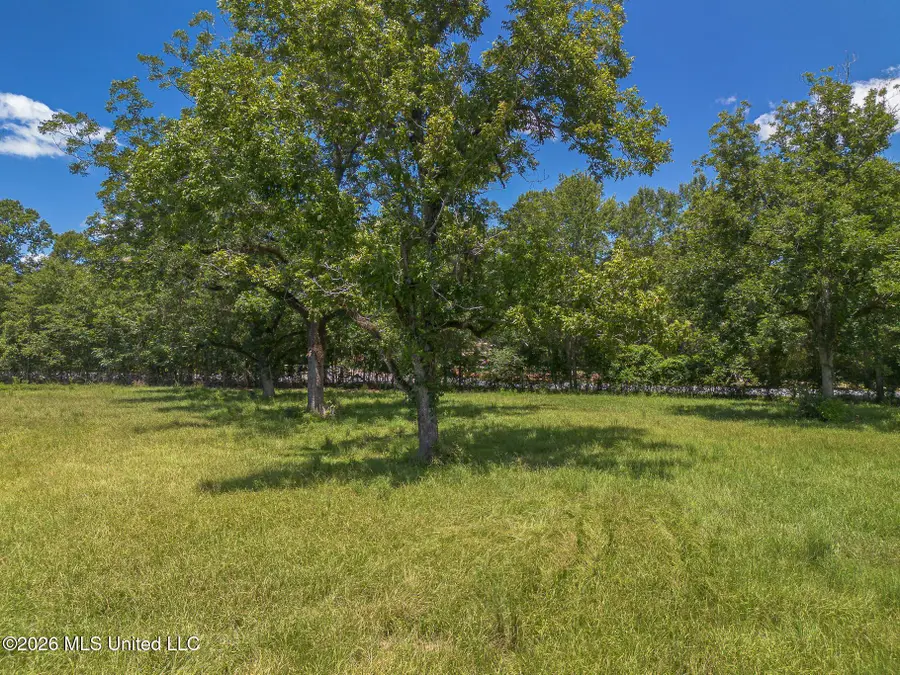 Old Highway 49, McHenry, MS 39561 - #2