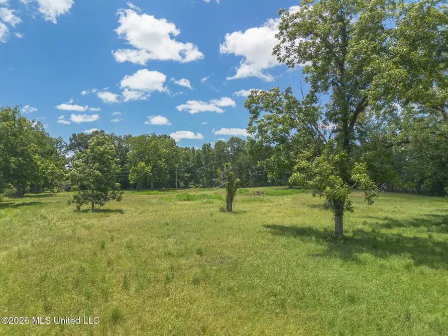 Old Highway 49, McHenry, MS 39561 - #3