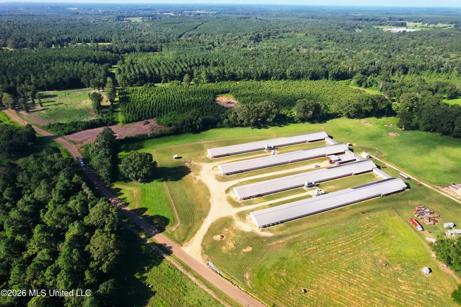 99 Coppers Ford Road, Tylertown, MS 39667 - #3