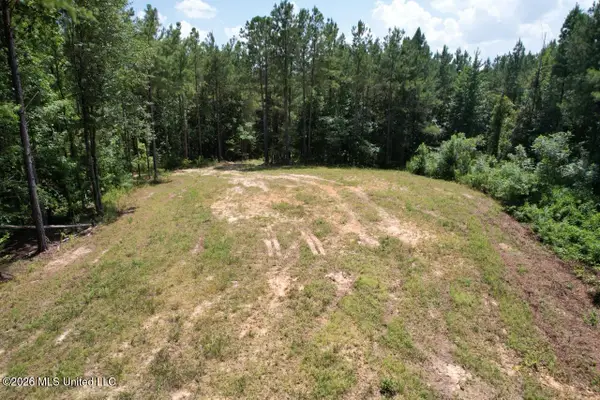 399 NE Dummyline Road, McCall Creek, MS 39647