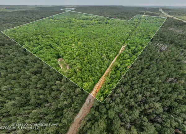 0 E Of Hwy 45, Waynesboro, MS 39367