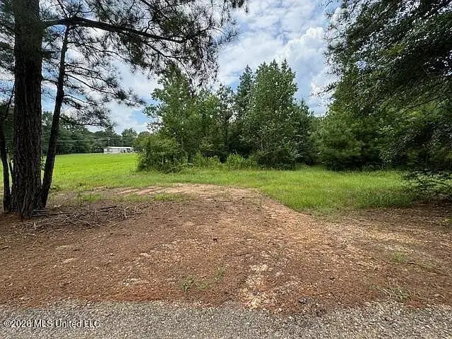 Parcel 2&3 Harper College Road, Gloster, MS 39638 - #2