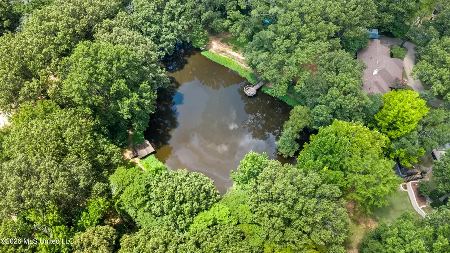 8265 Windersgate Drive, Olive Branch, MS 38654 - #3