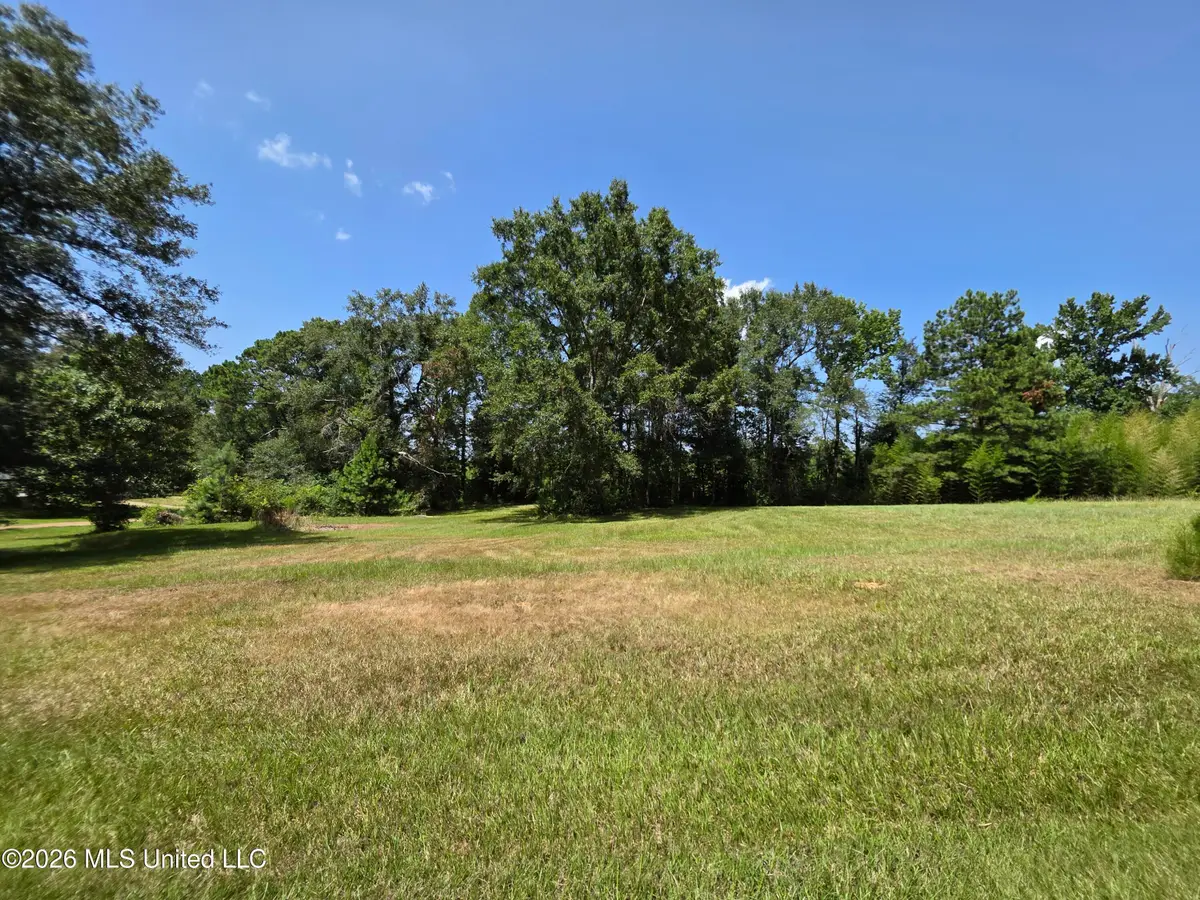 1041 3rd Street, Wesson, MS 39191 - #1