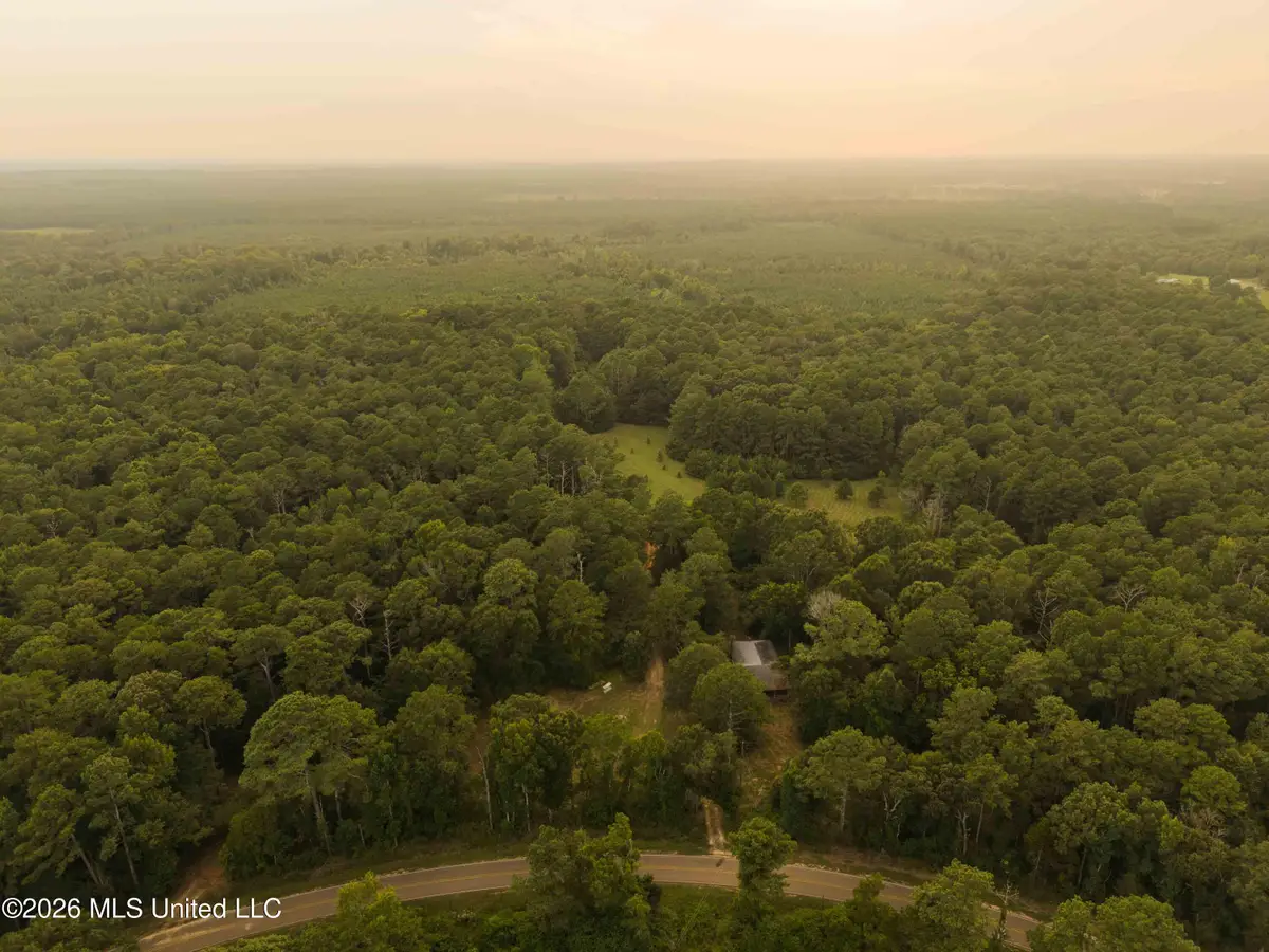 235 Woodrow Martin Road, Brandon, MS 39042 - #1