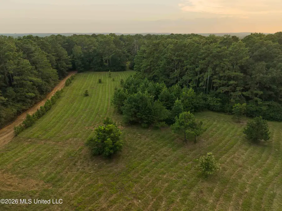 235 Woodrow Martin Road, Brandon, MS 39042 - #2