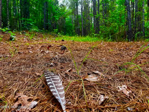 Arthur Drive, Brookhaven, MS 39601