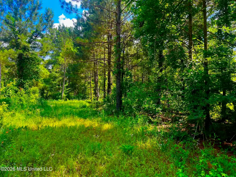 Arthur Drive, Brookhaven, MS 39601 - #3