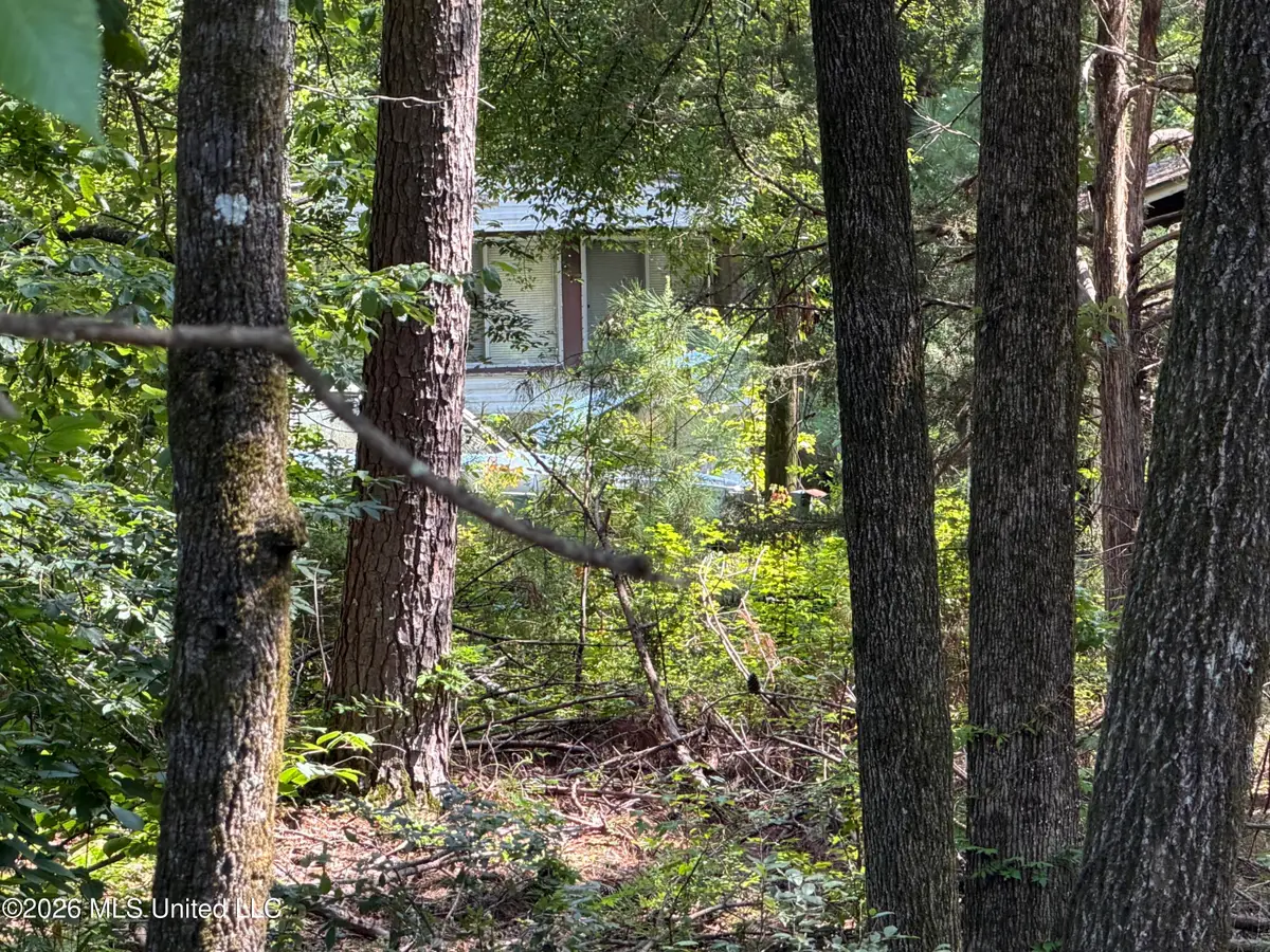 4555 Sardis Lake Drive, Batesville, MS 38606 - #1