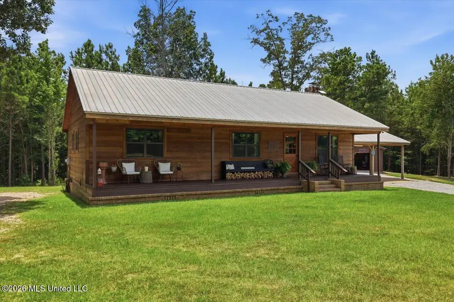115 Rowe Drive, Braxton, MS 39044 - #3