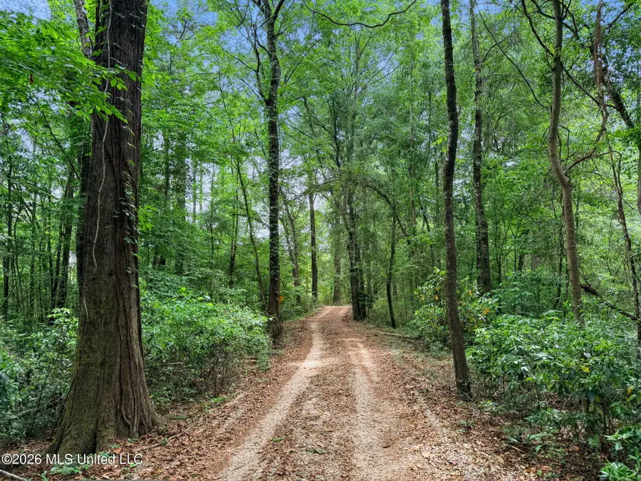 1230 Morriston Road, Petal, MS 39465 - #3