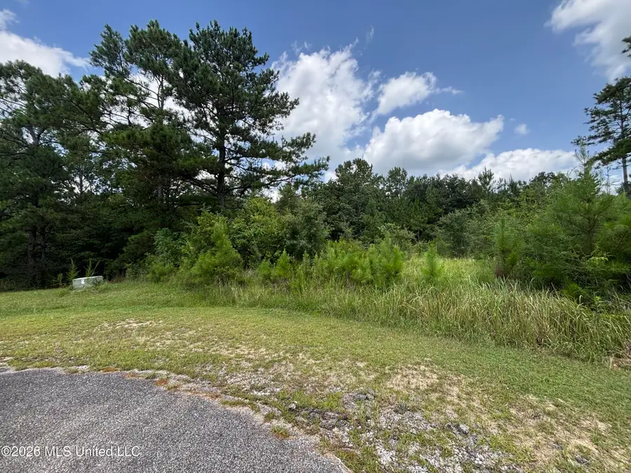 Lots 92 & 93 Evergreen Drive, Vancleave, MS 39565 - #3