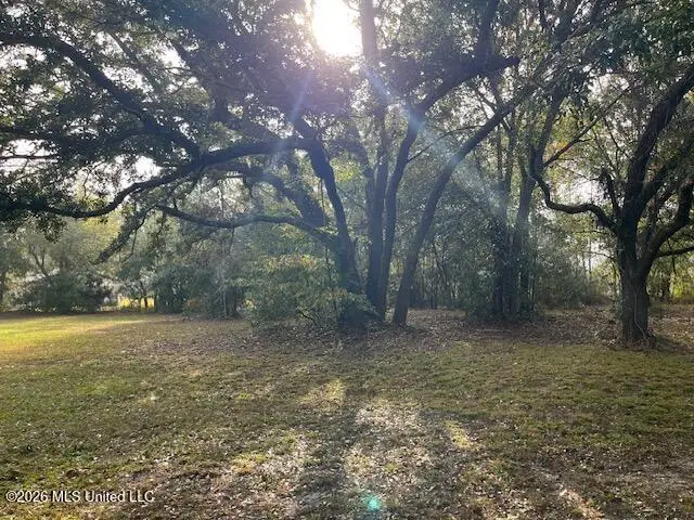 Turner Street, Bay Saint Louis, MS 39520 - #1