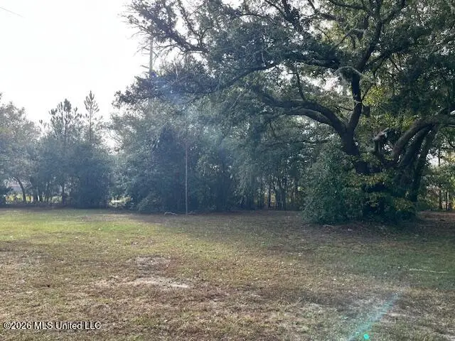 Turner Street, Bay Saint Louis, MS 39520 - #2