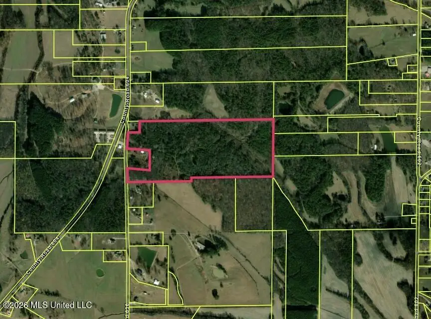 Co Rd 636, Corinth, MS 38834 - #2