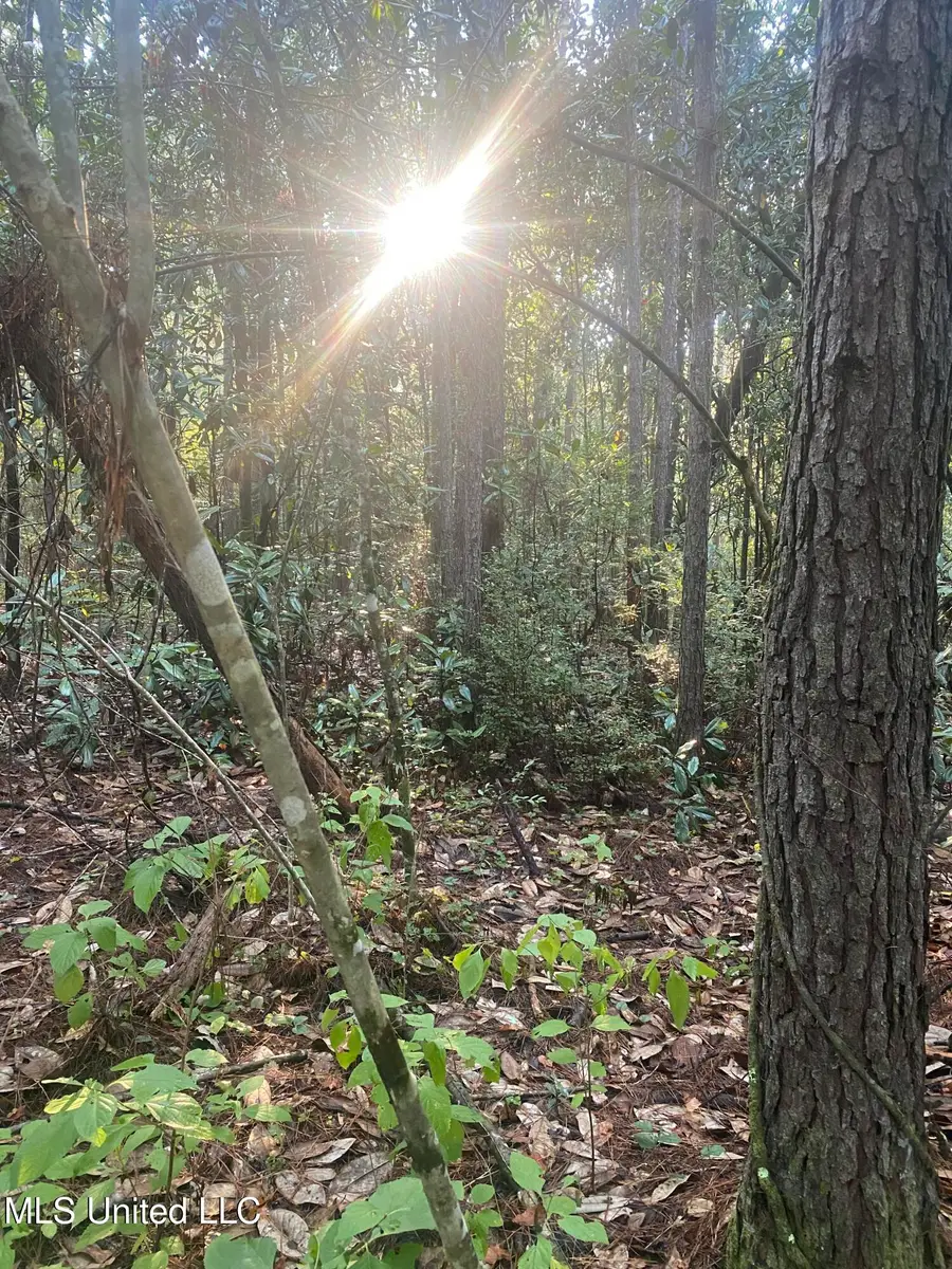 ### Kirby Creek Road, Wiggins, MS 39577 - #3