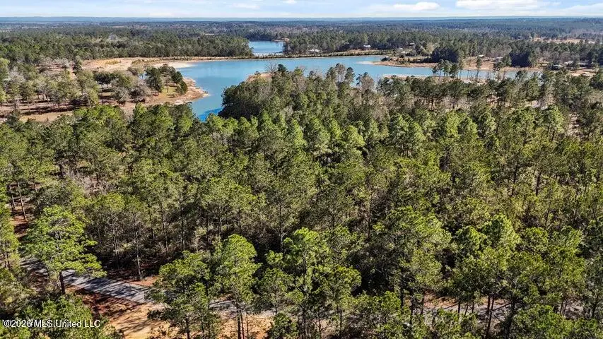 Lot 17 Mitchell Road, Leakesville, MS 39451 - #2