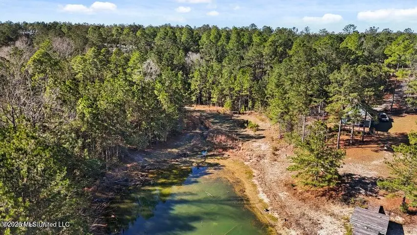 Lot 17 Mitchell Road, Leakesville, MS 39451 - #3