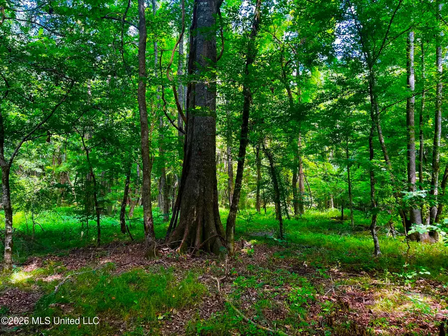Perrytown Road, Crosby, MS 39633 - #2