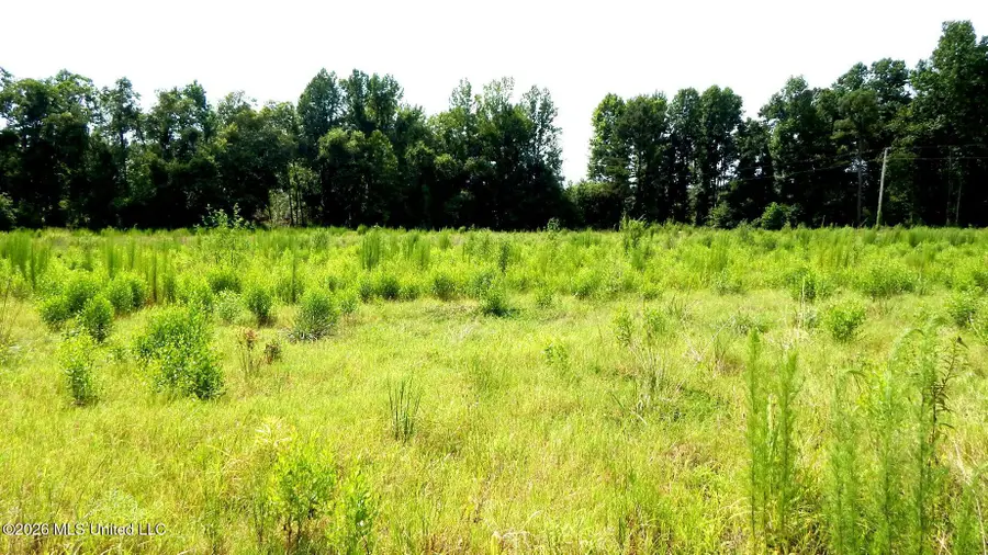590 County Road 247, Bruce, MS 38915 - #3