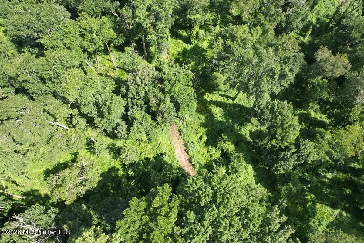 2530 Cat Island Road, Saint Francisville, LA 70775 - #1