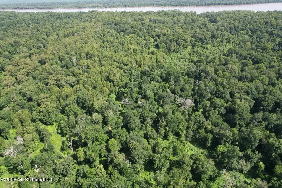 2530 Cat Island Road, Saint Francisville, LA 70775 - #2