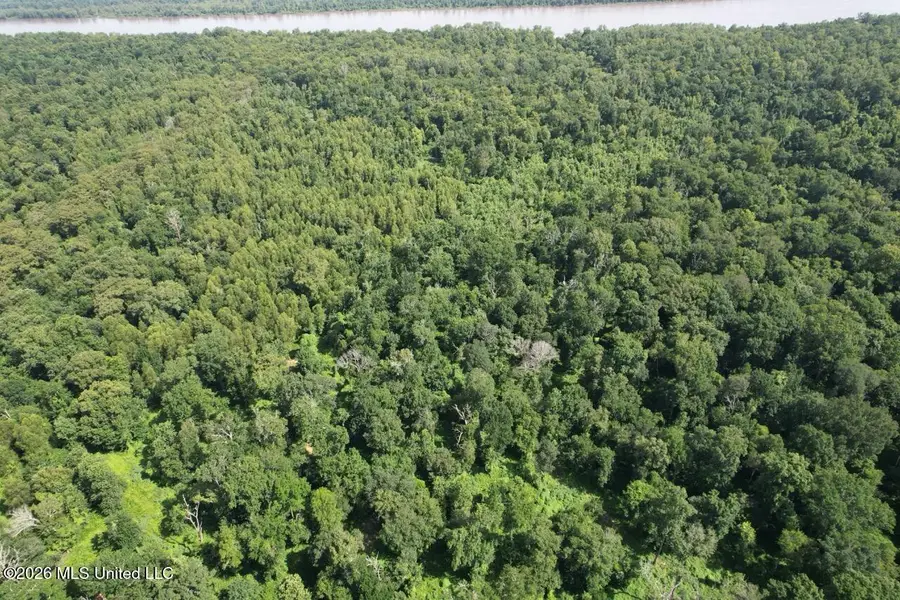 2530 Cat Island Road, Saint Francisville, LA 70775 - #3