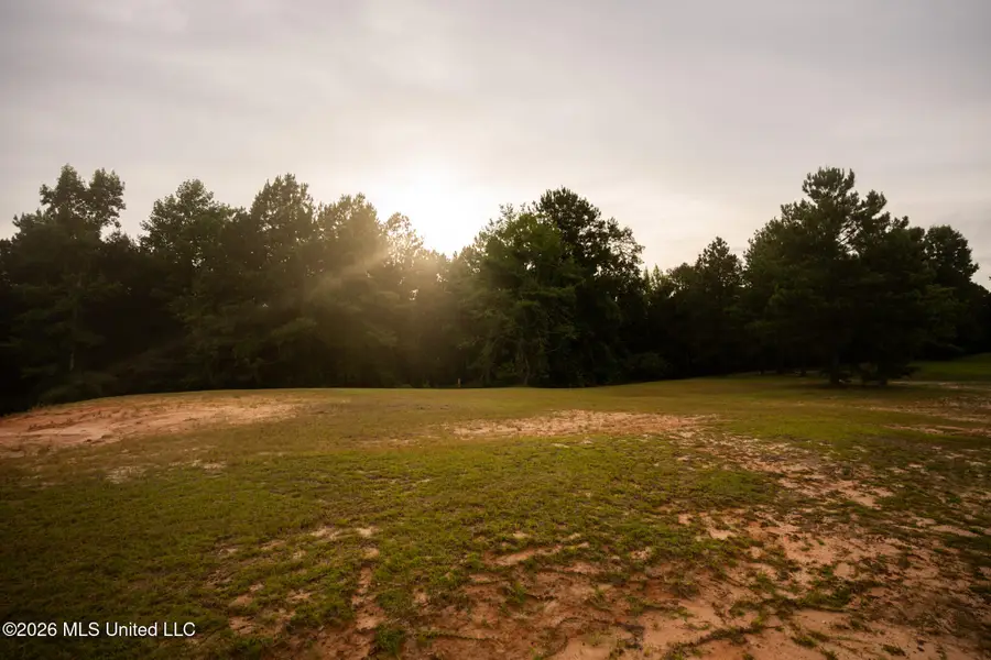 Honeysuckle Drive, Collinsville, MS 39325 - #3