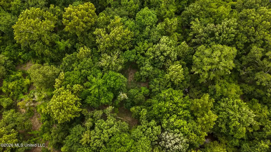 24.92 Acres - Pearl River, Poplarville, MS 39470 - #3