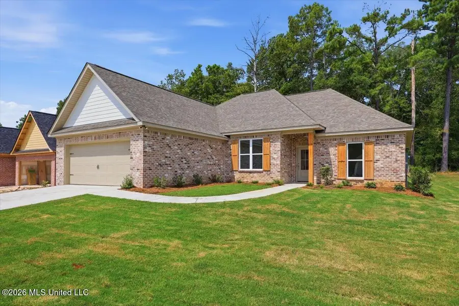 218 Anderson Oaks Drive, Pearl, MS 39208 - #2