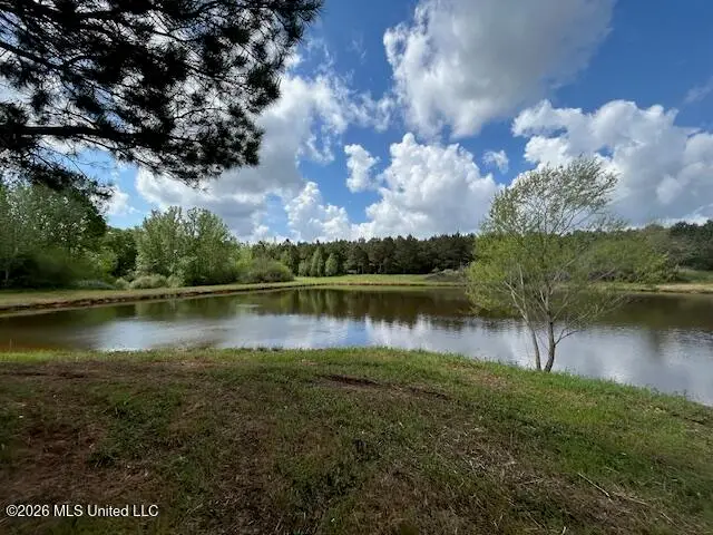 Mississippi 583, Tylertown, MS 39667 - #1