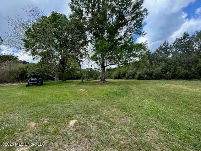 Mississippi 583, Tylertown, MS 39667 - #3