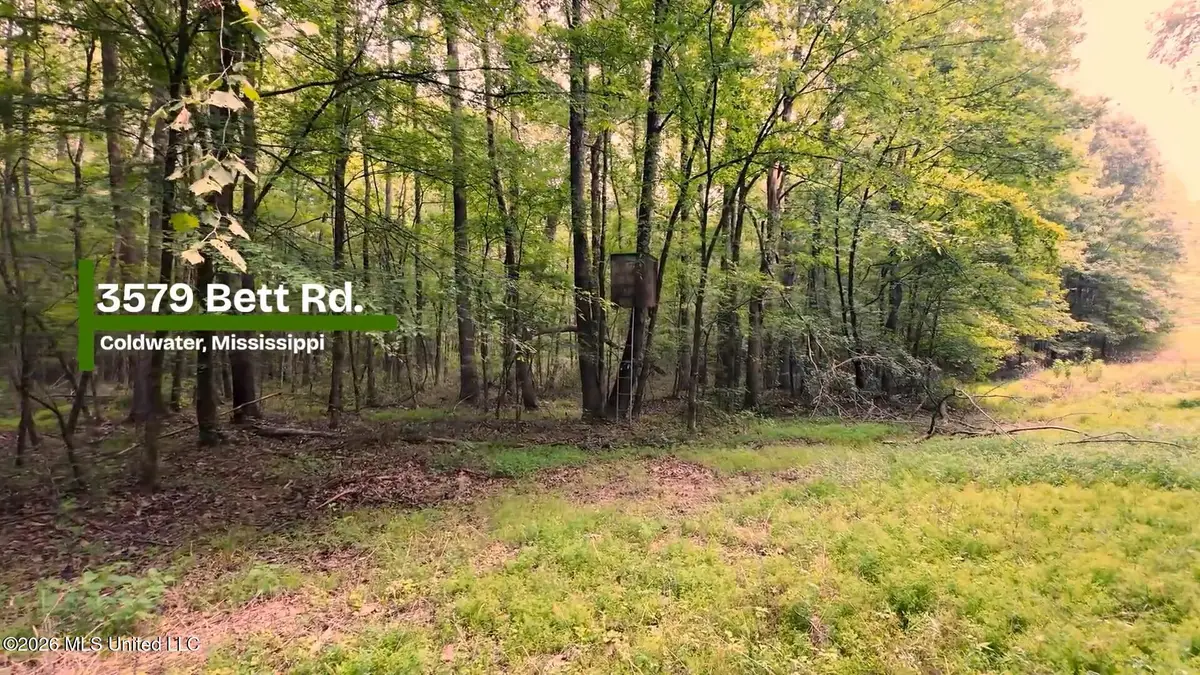 3579 Bett Road, Coldwater, MS 38618 - #1