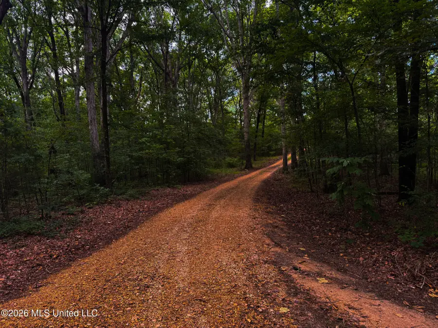 3579 Bett Road, Coldwater, MS 38618 - #2
