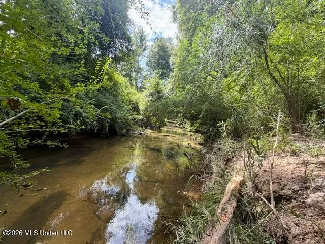 1070 Stormy Lane, Osyka, MS 39657 - #1