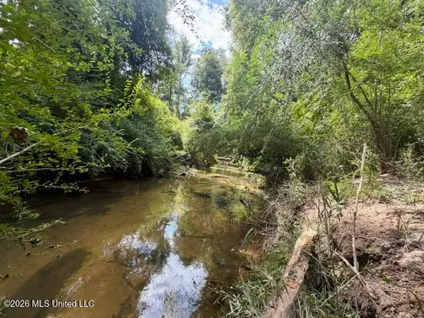 1070 Stormy Lane, Osyka, MS 39657