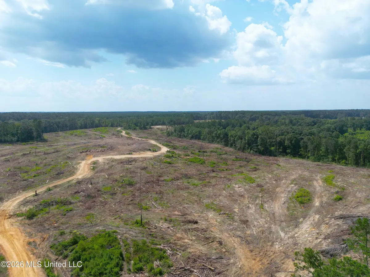 SE Cole Drive, Bogue Chitto, MS 39629 - #1