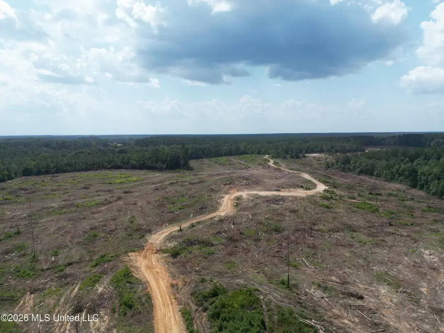 SE Cole Drive, Bogue Chitto, MS 39629 - #3
