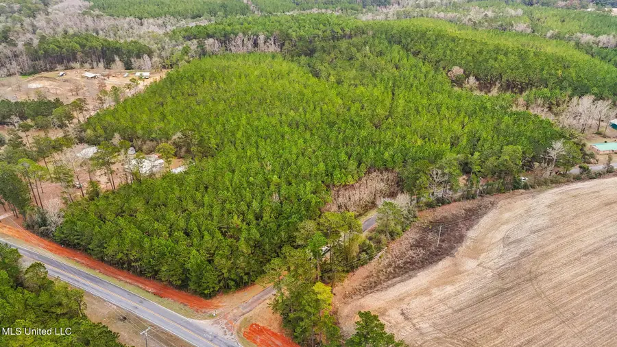 89ac Old Hwy 63n & Fork Rd, Lucedale, MS 39452 - #2