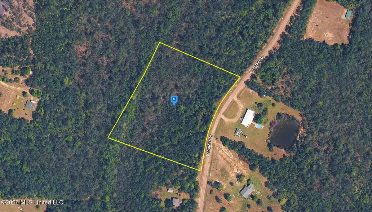 2550 Long Leaf Drive, Perkinston, MS 39573 - #1