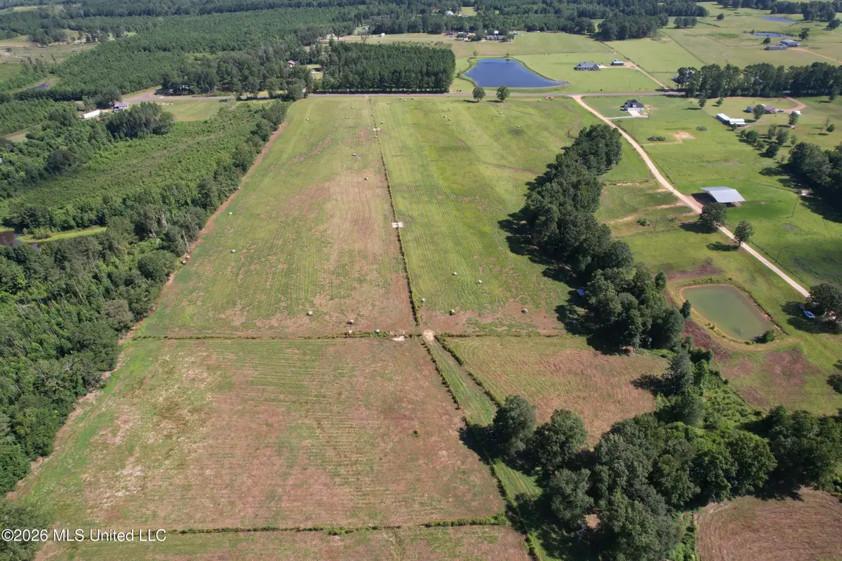 2546 Bogue Chitto Road, Smithdale, MS 39664 - #1