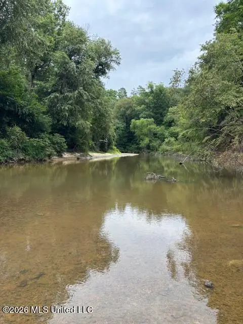 Tbd Leatherwood Road, Tylertown, MS 39667 - #2