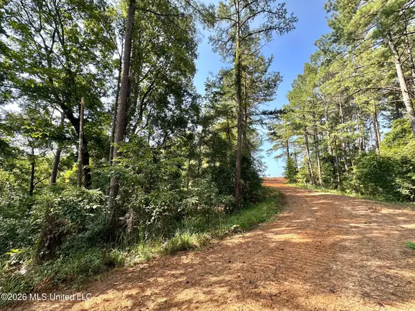 Highway 43, Ethel, MS 39067