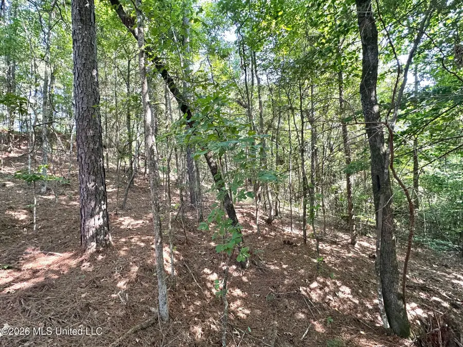 Highway 43, Ethel, MS 39067 - #2