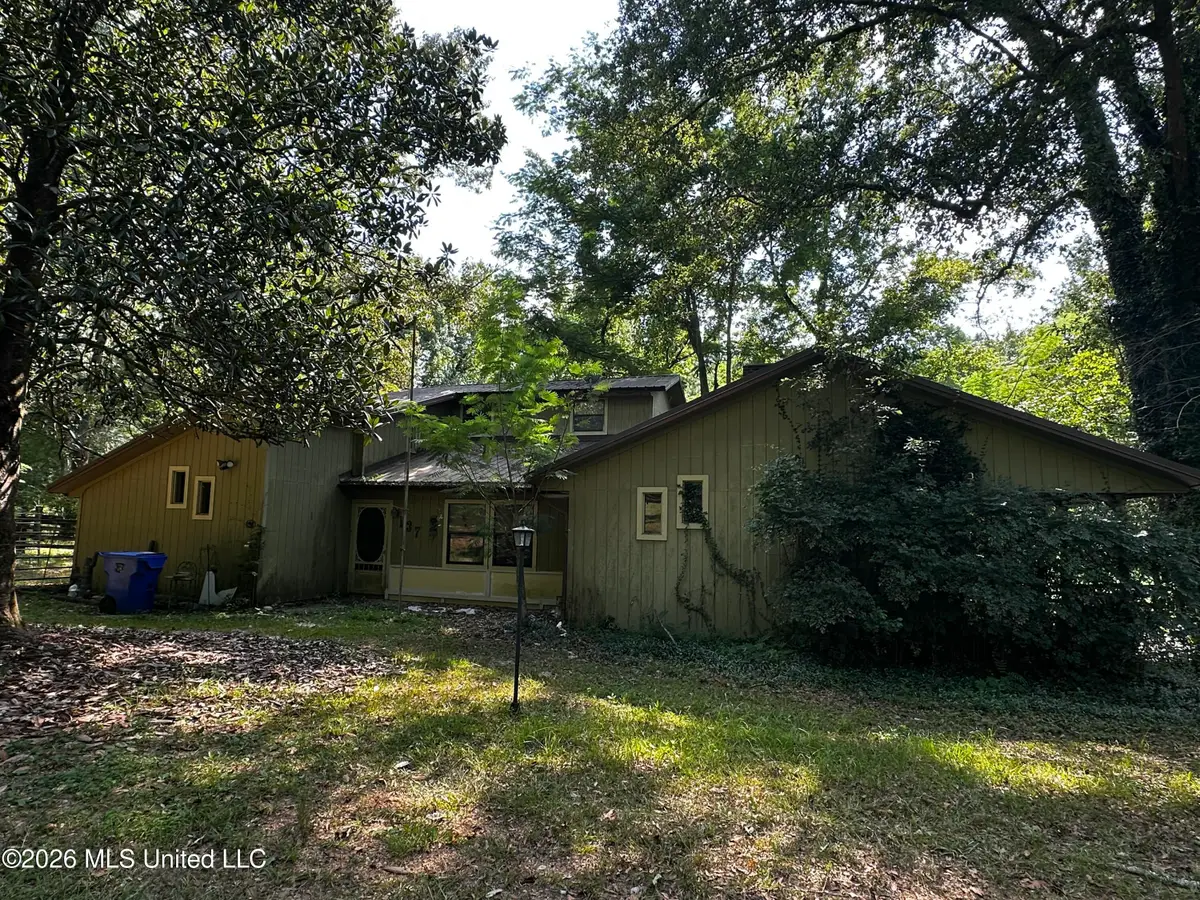 137 Shorter Road, Braxton, MS 39044 - #1