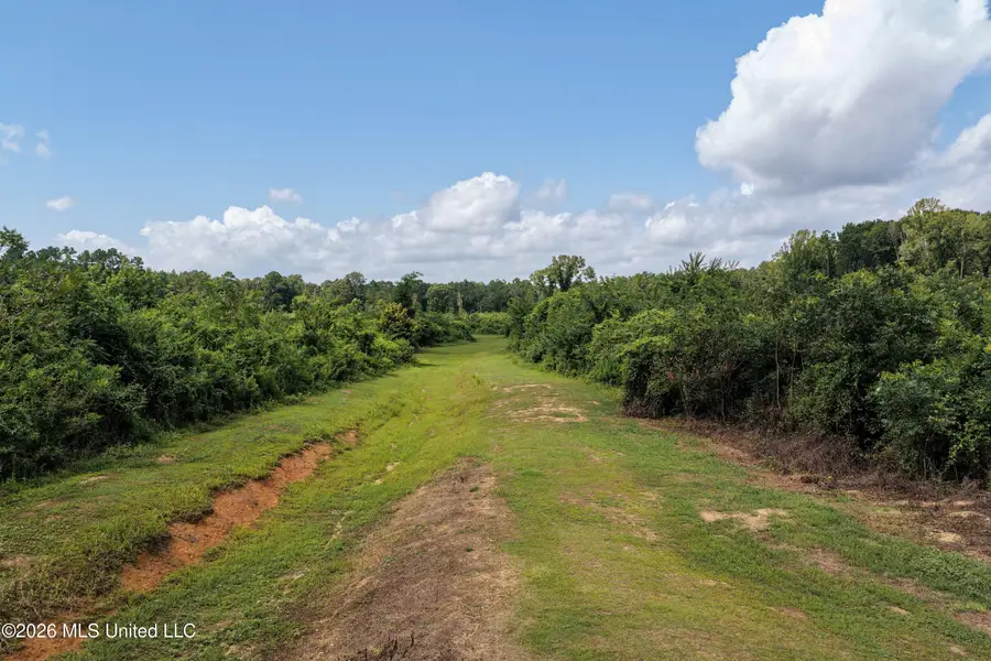 226 Van Holmes Road, Tylertown, MS 39667 - #3