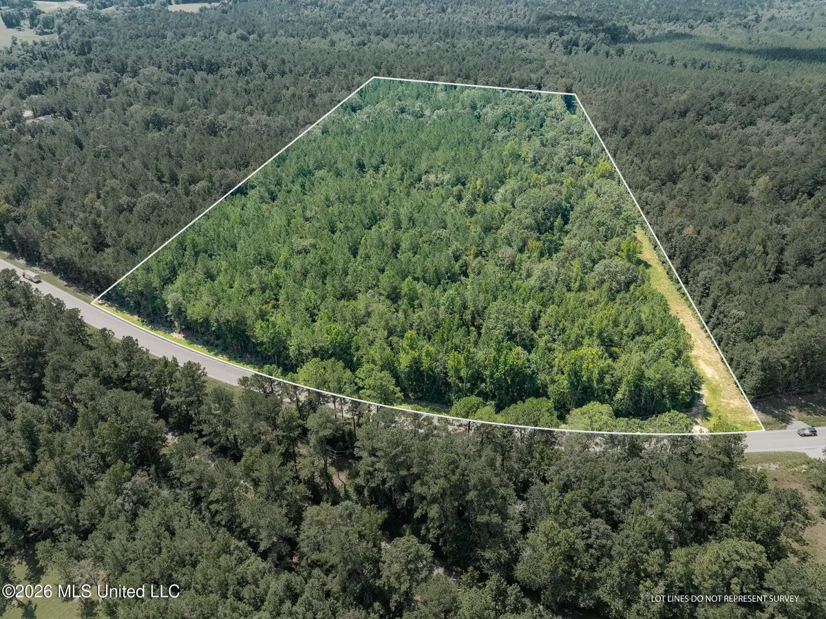 20 Acres Hwy 589, Sumrall, MS 39482 - #1