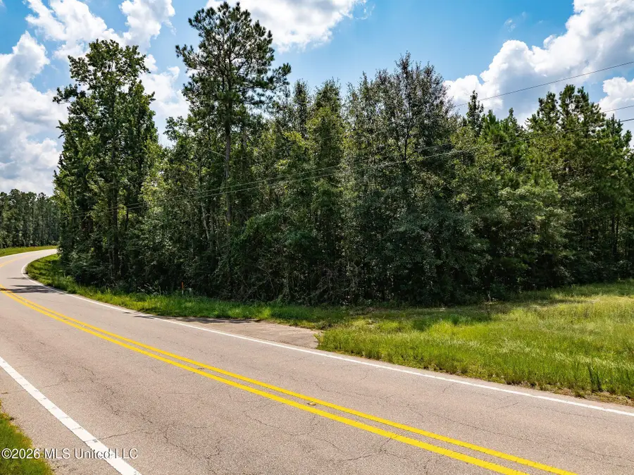 20 Acres Hwy 589, Sumrall, MS 39482 - #3