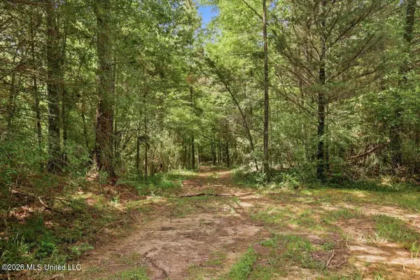 077 Potluck Road, Canton, MS 39046