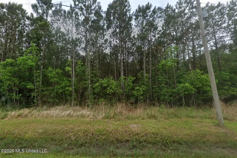 Twelfth Street, Bay Saint Louis, MS 39520 - #3